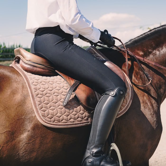 Kentucky Rider